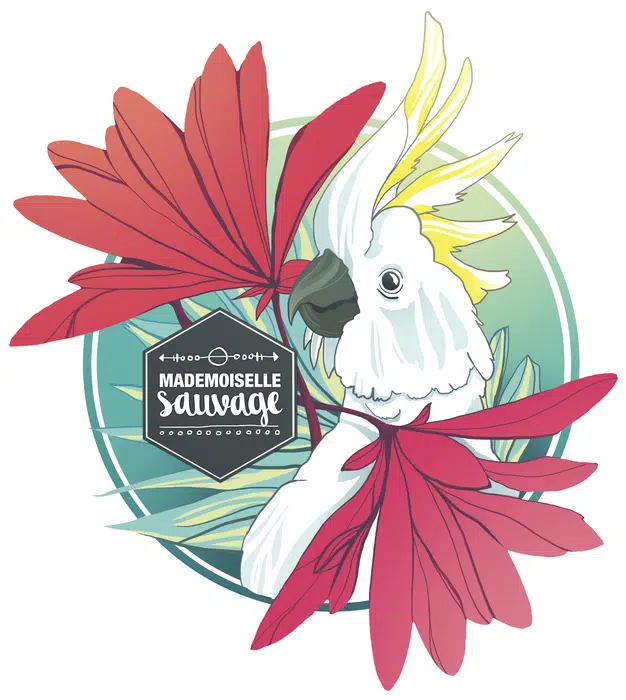 Illustration Cacatoès