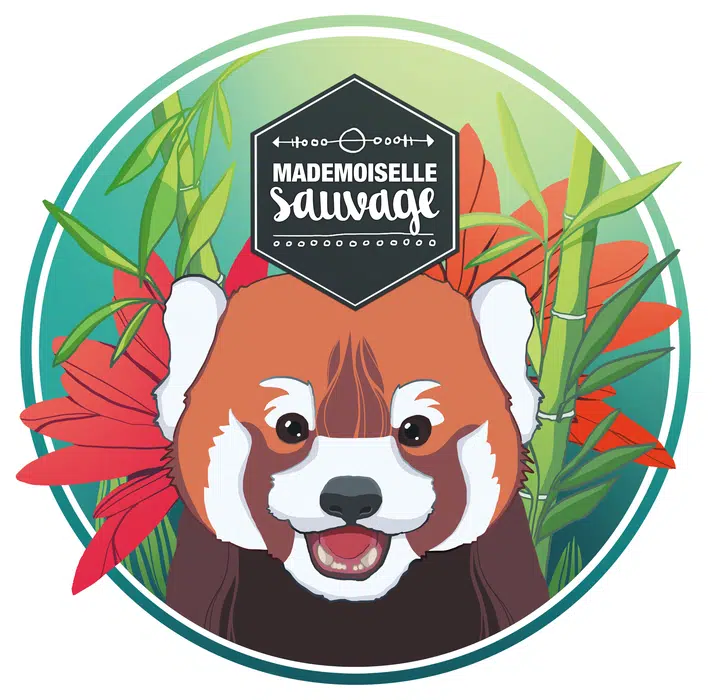 Illustration panda roux